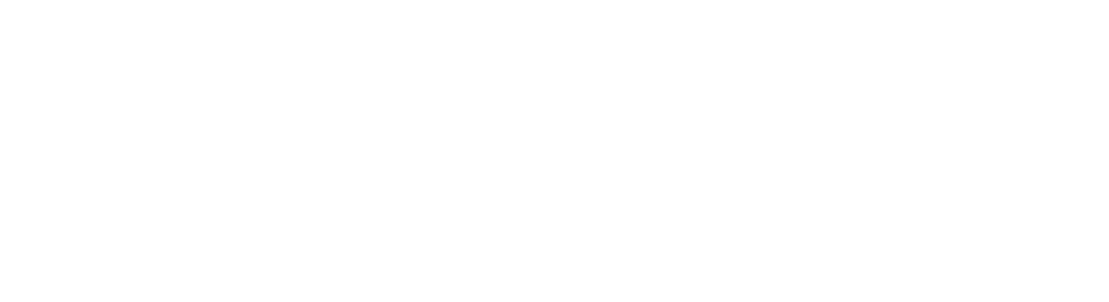 Forex Bulgaria Logo Dark